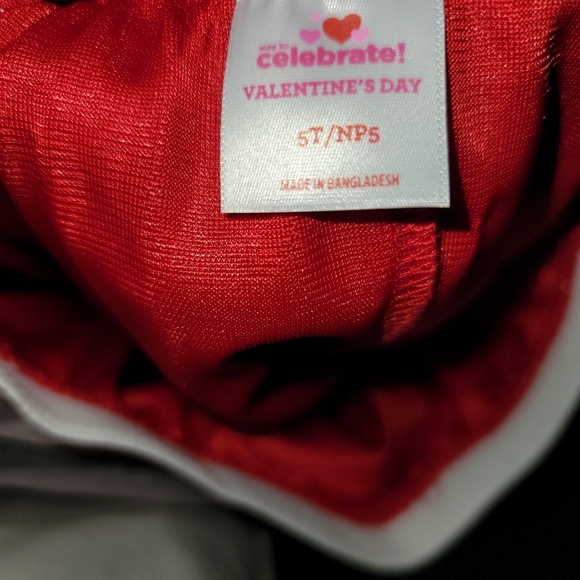 NWOT Girls Celebrate Valentines Day Tulle Layered skirt - Picture 3 of 3